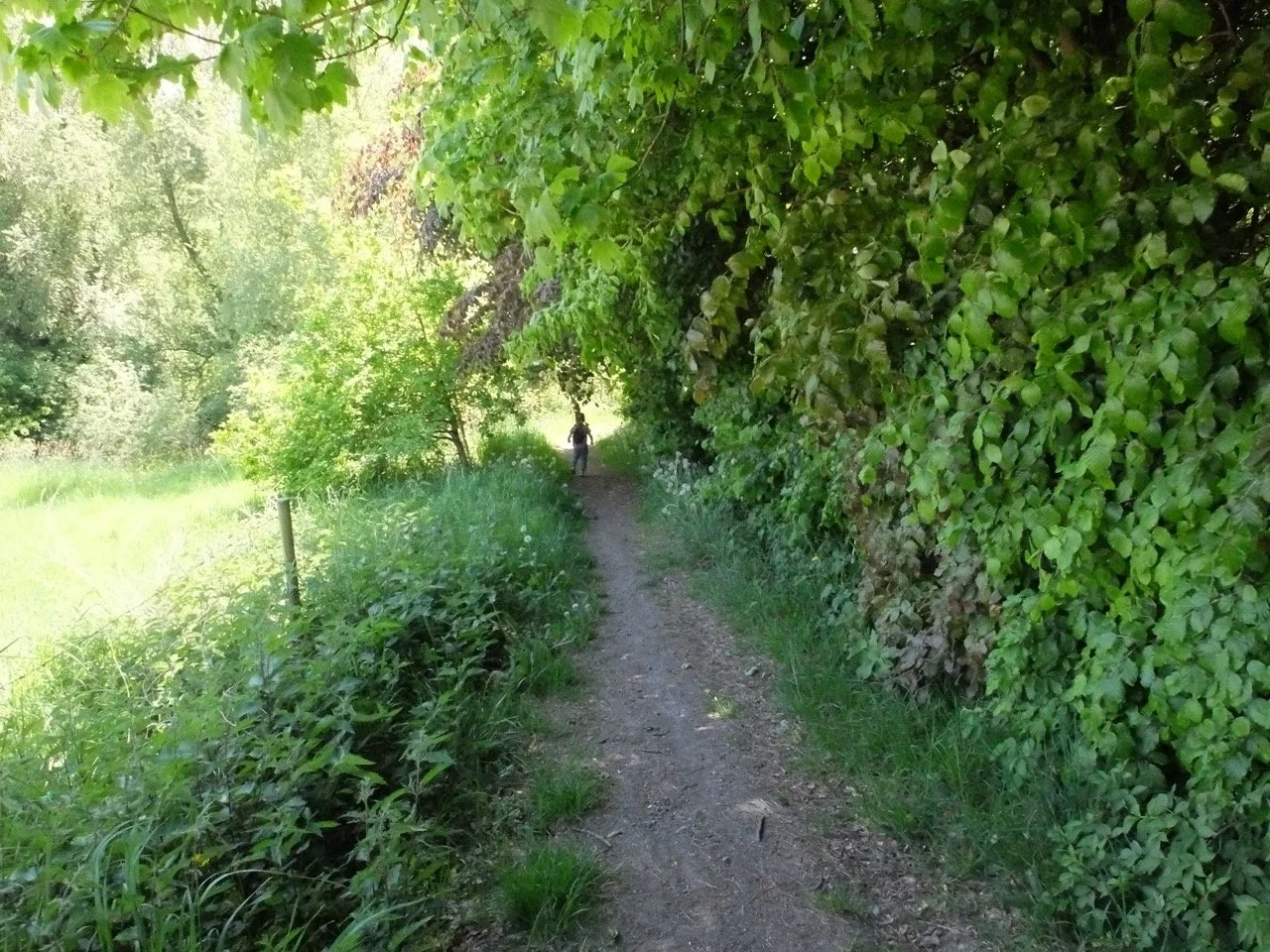 ATTENTION ! Petit mot de la guide du jour - Belle randonnée riche en ...