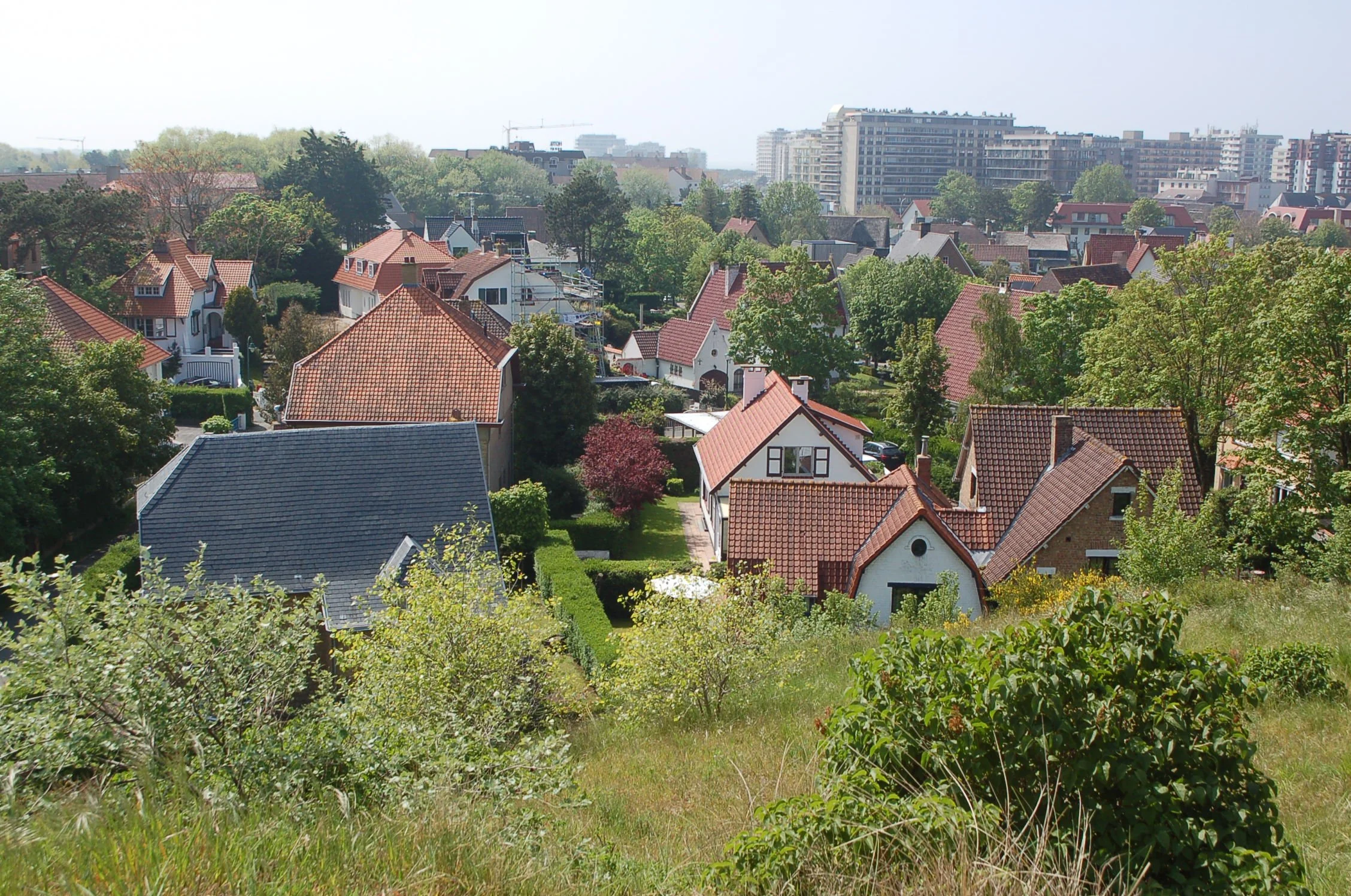DSC_0335.JPG