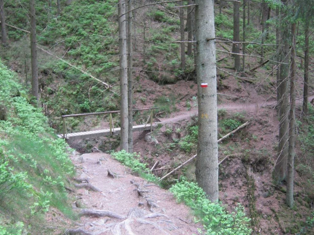 Balade 21-8-2016 Capture de la Warche (4).JPG