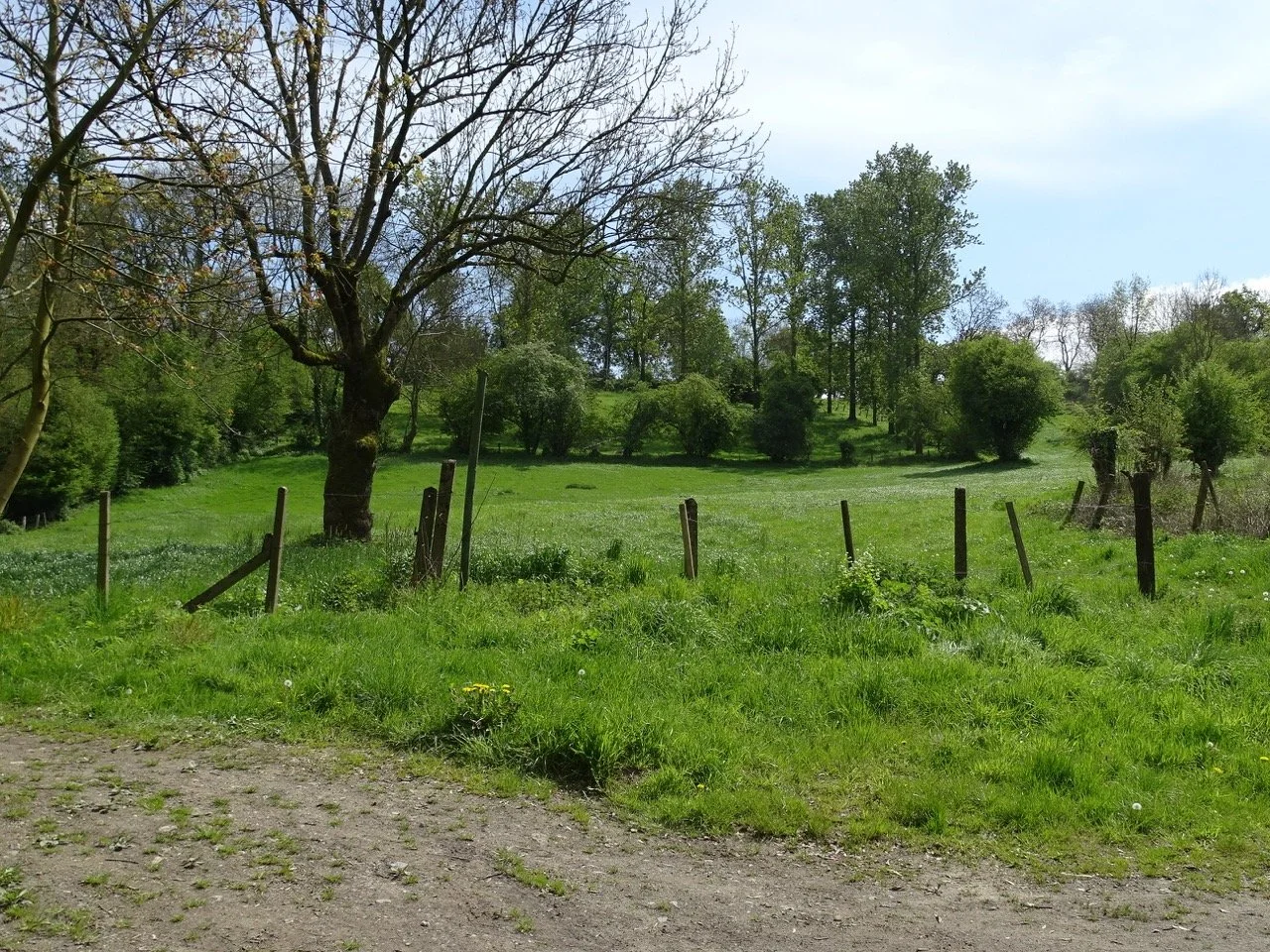 SCHURGERS WONCK (3) - Grande.jpeg