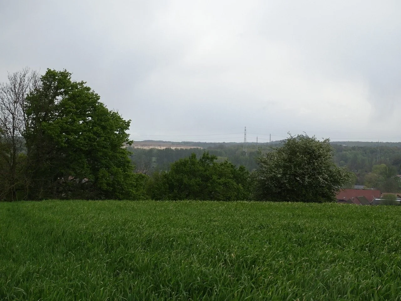 SCHURGERS WONCK (7) - Grande.jpeg
