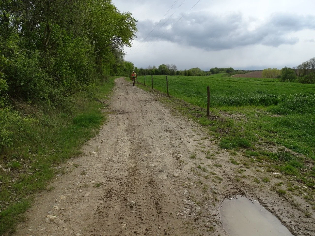SCHURGERS WONCK (10) - Grande.jpeg