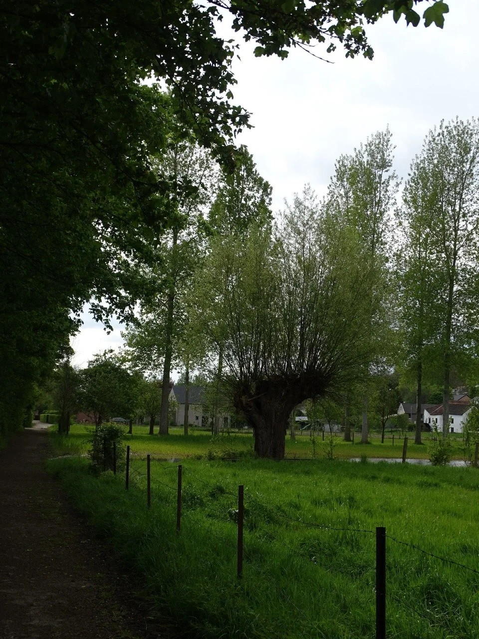SCHURGERS WONCK (13) - Grande.jpeg
