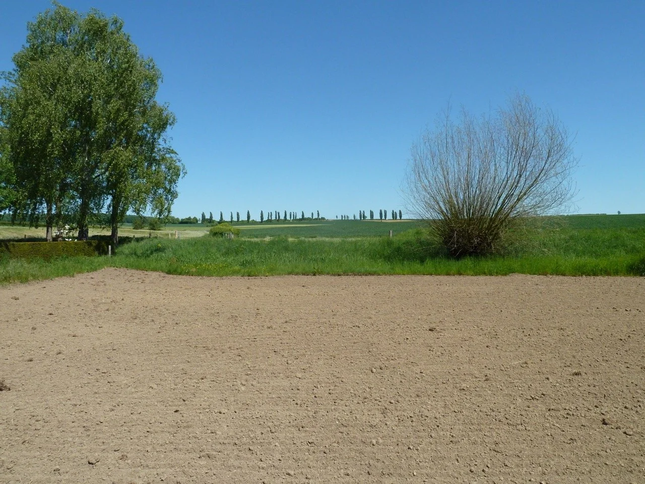 P1010909 - Grande.jpeg