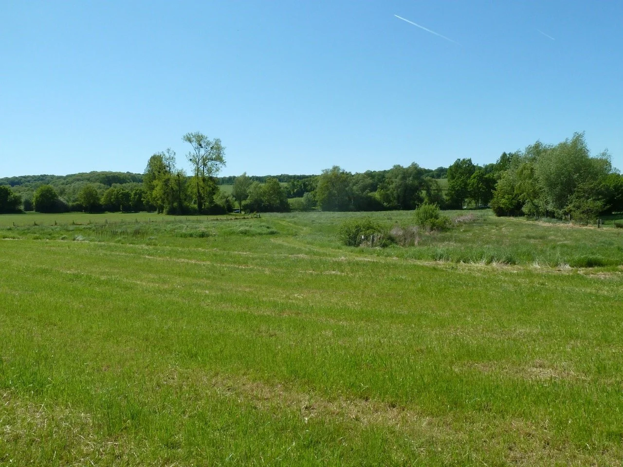 P1010910 - Grande.jpeg