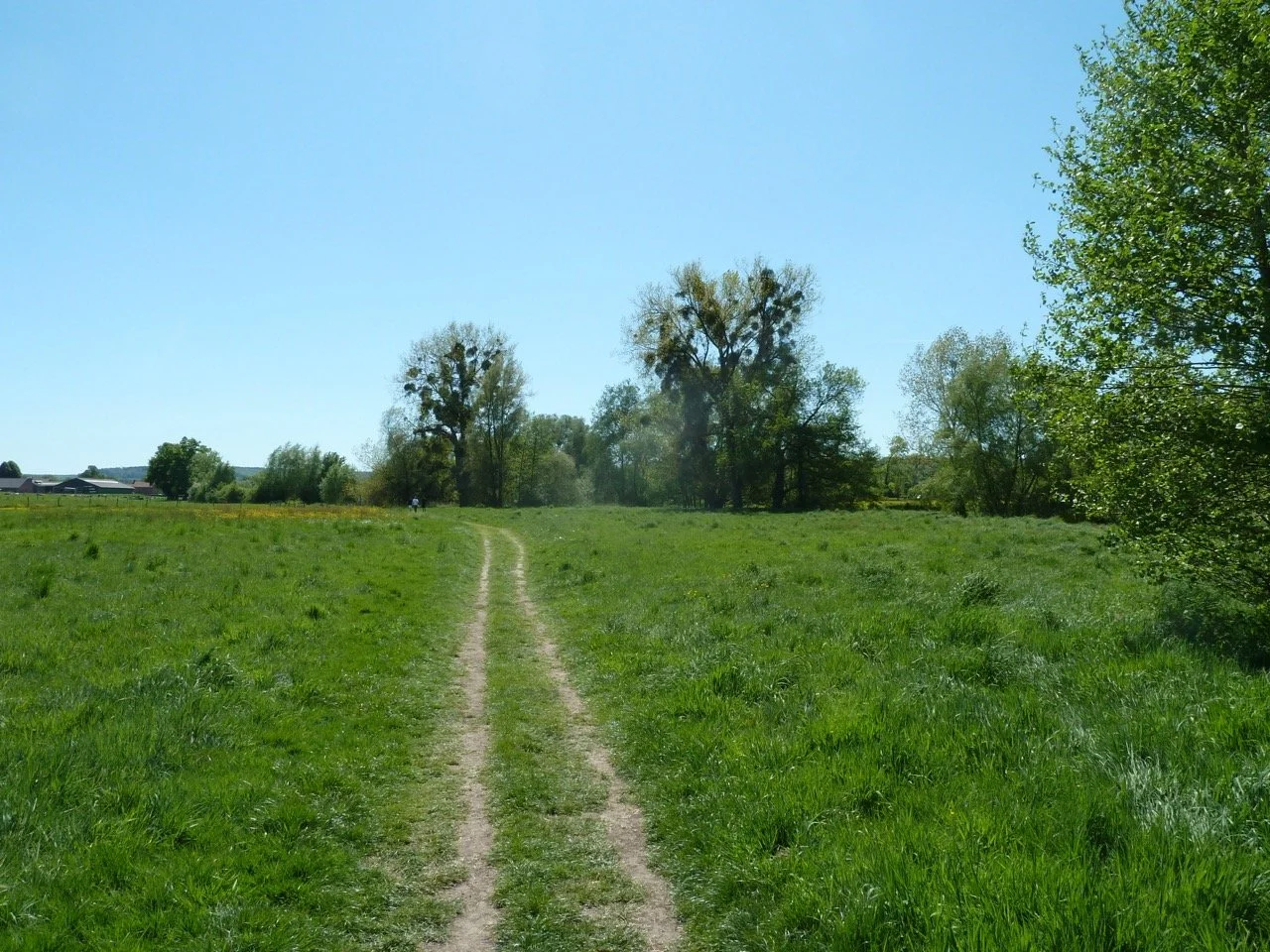 P1010917 - Grande.jpeg