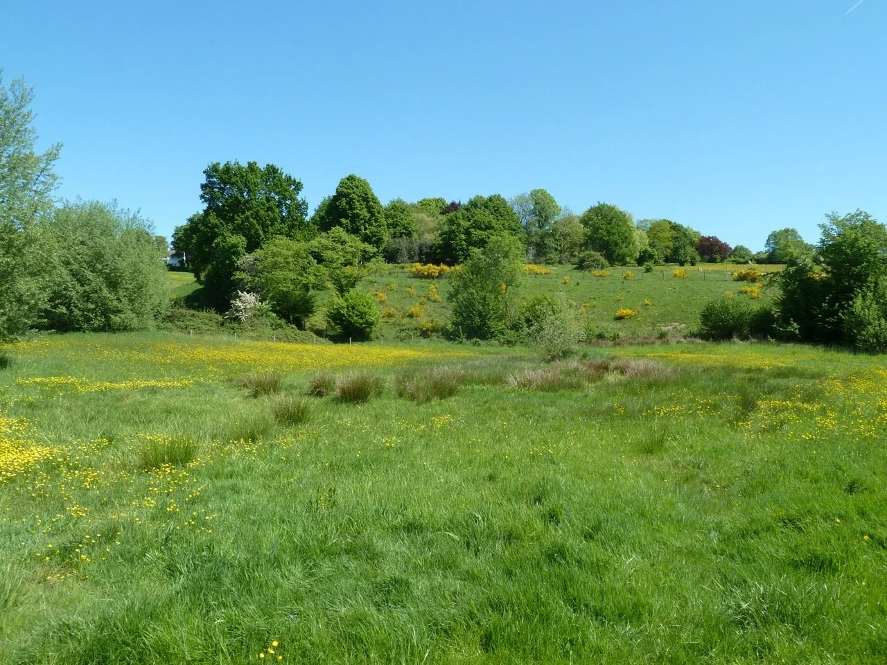 P1010920 - Grande.jpeg