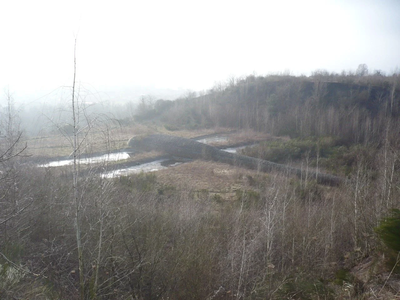 Libellule - Grande.jpeg