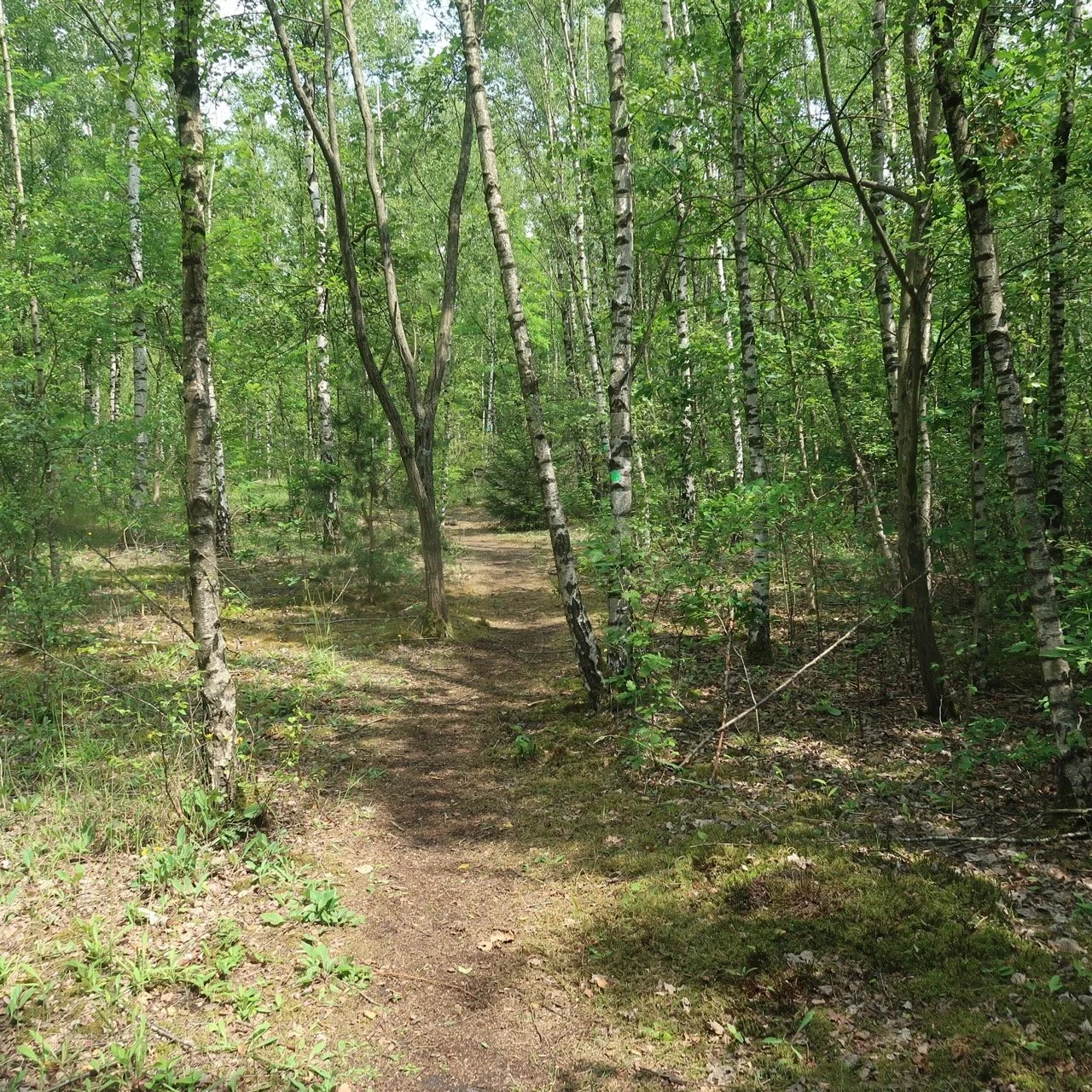 IMG 7491 from OneDrive - Grande.jpeg