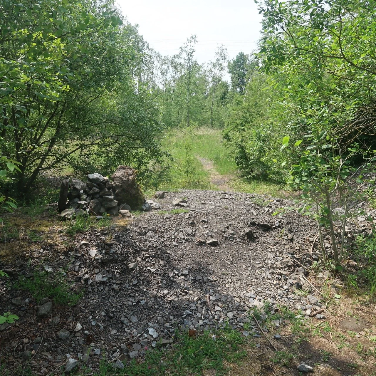 IMG_7490 - Grande.jpeg