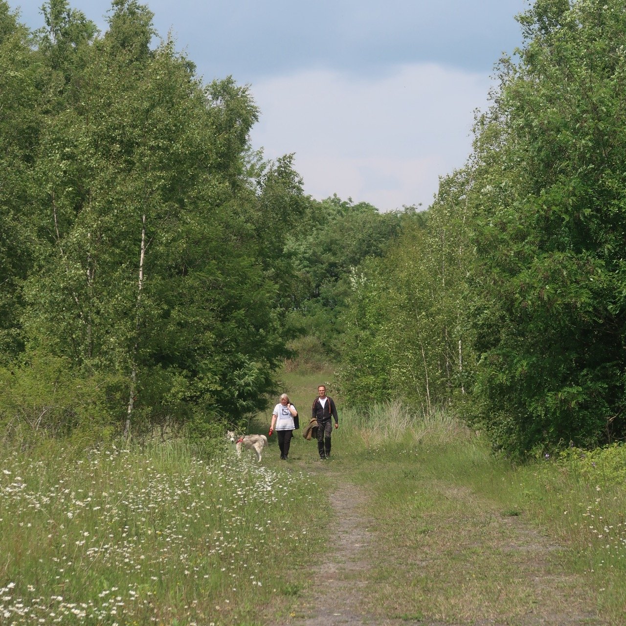 IMG 7494 - Grande.jpeg