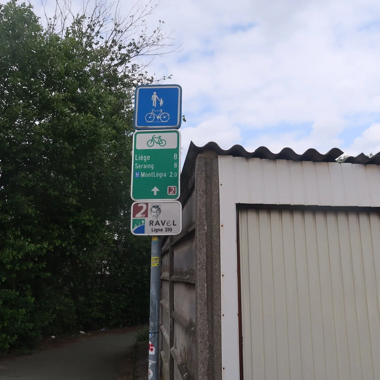 IMG 7502 from OneDrive - Grande.jpeg