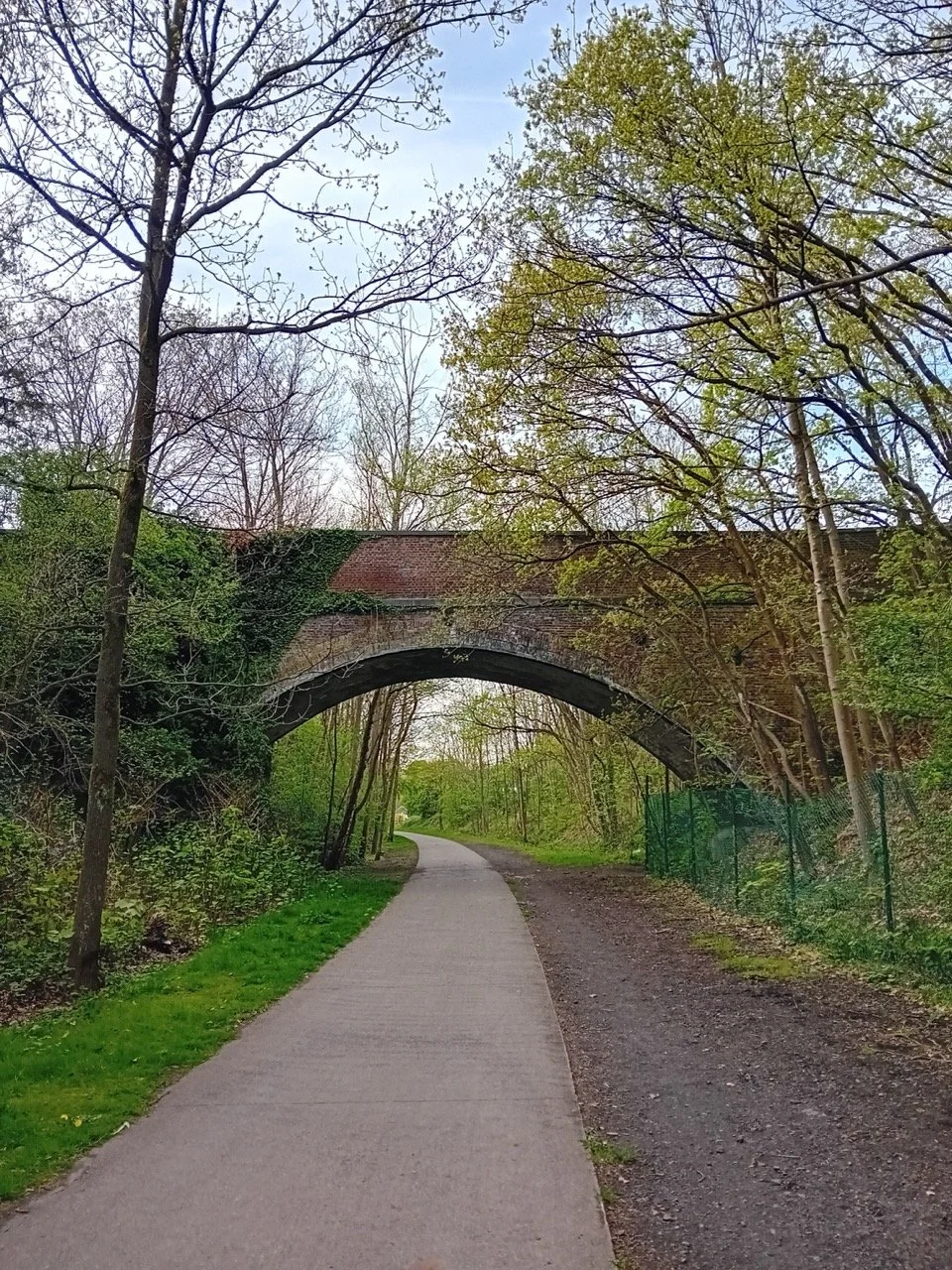 20250419_182327_resized - Grande.jpeg