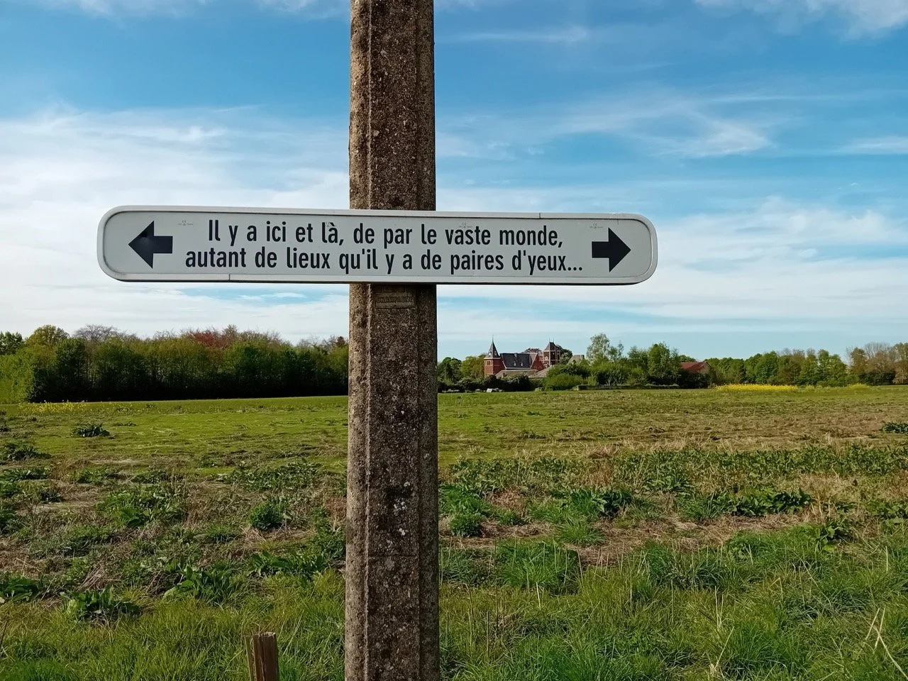 20250419_174251_resized - Grande.jpeg