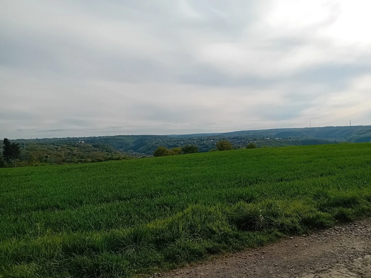 20250419_174708_resized - Grande.jpeg