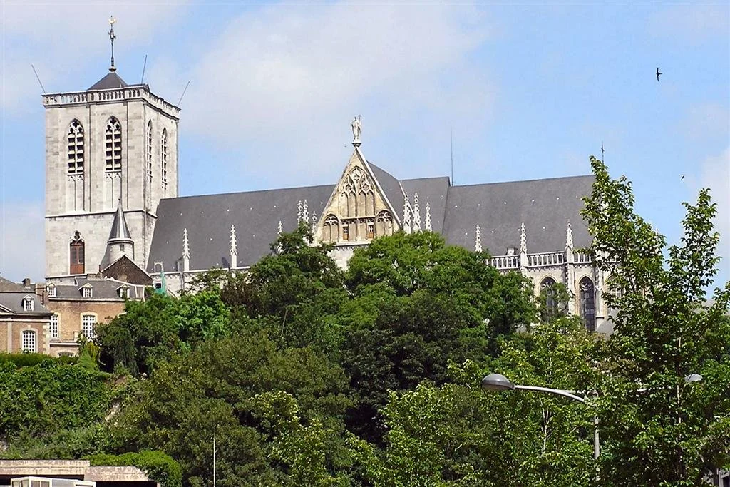 Collégiale Saint-Martin Liège.jpg