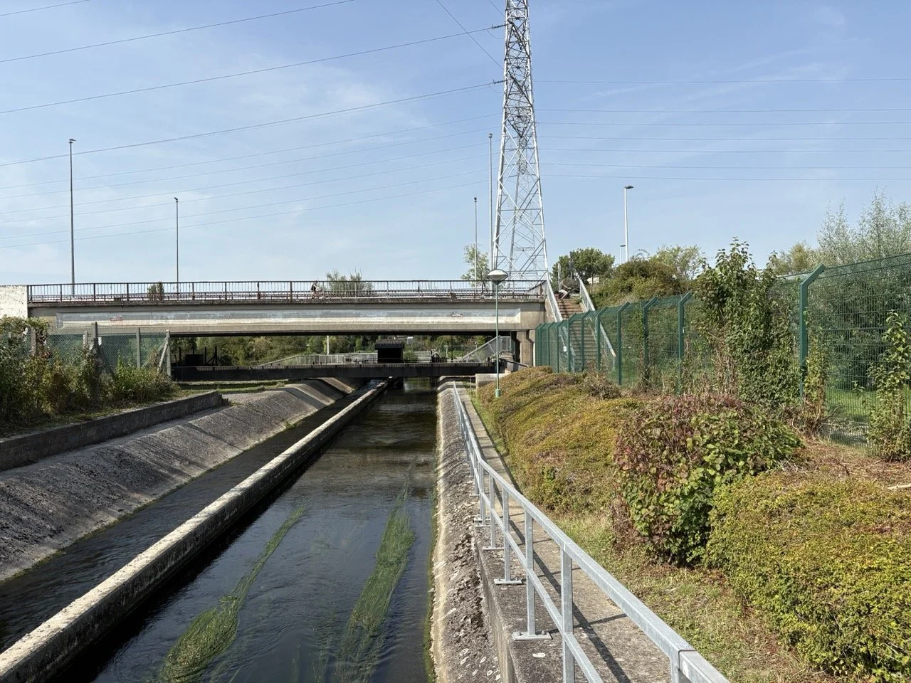 IMG_4053 - Grande.jpeg