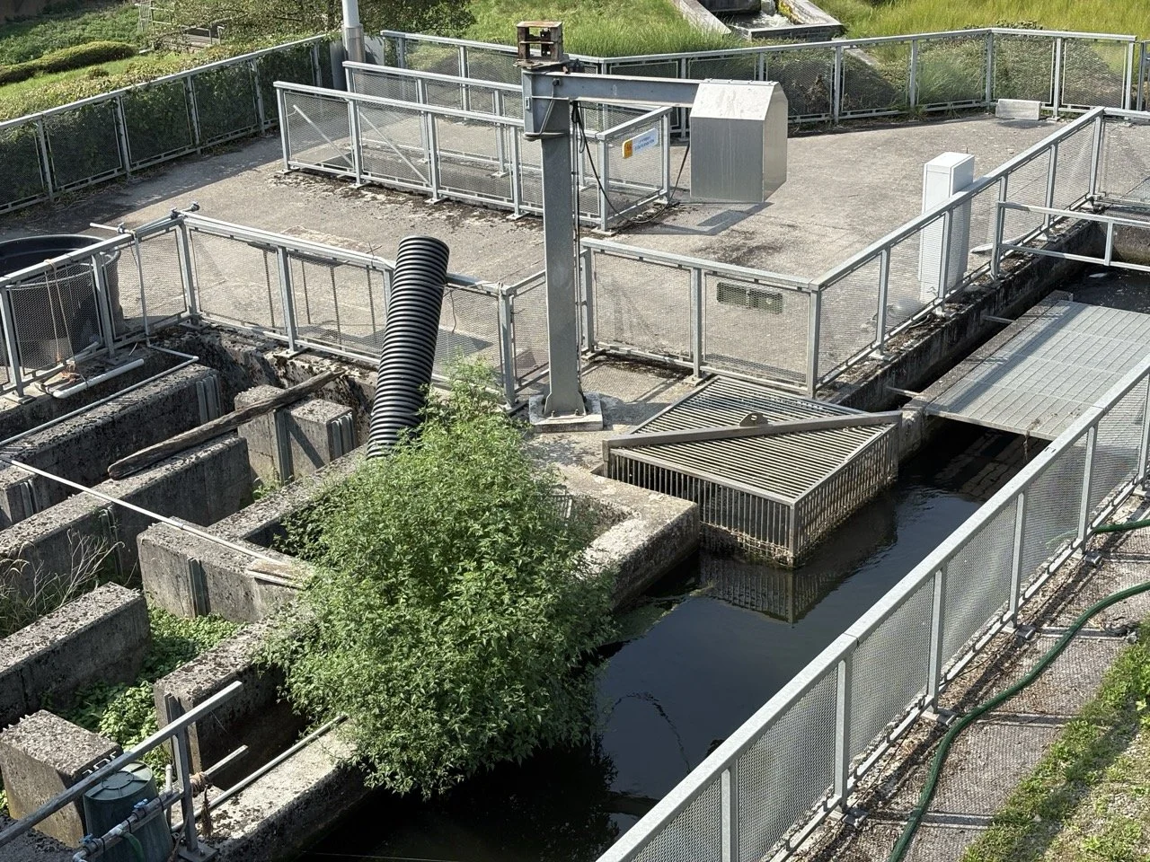 IMG_4055 - Grande.jpeg