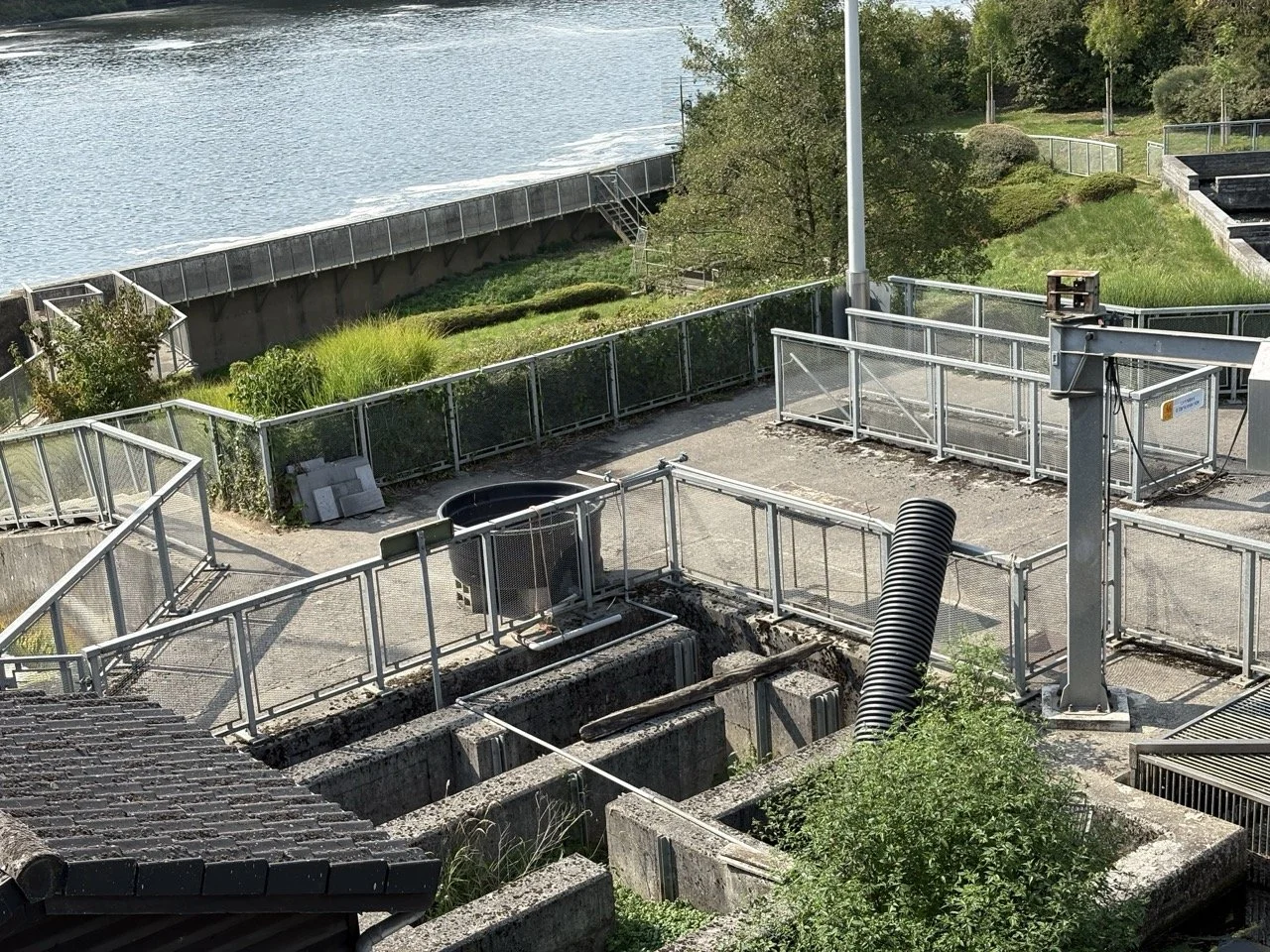 IMG_4058 - Grande.jpeg