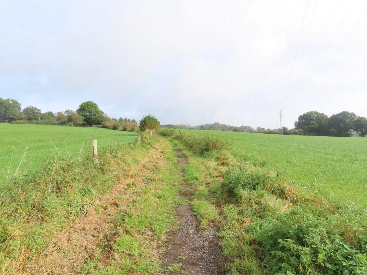 IMG_0952 - Grande.jpeg