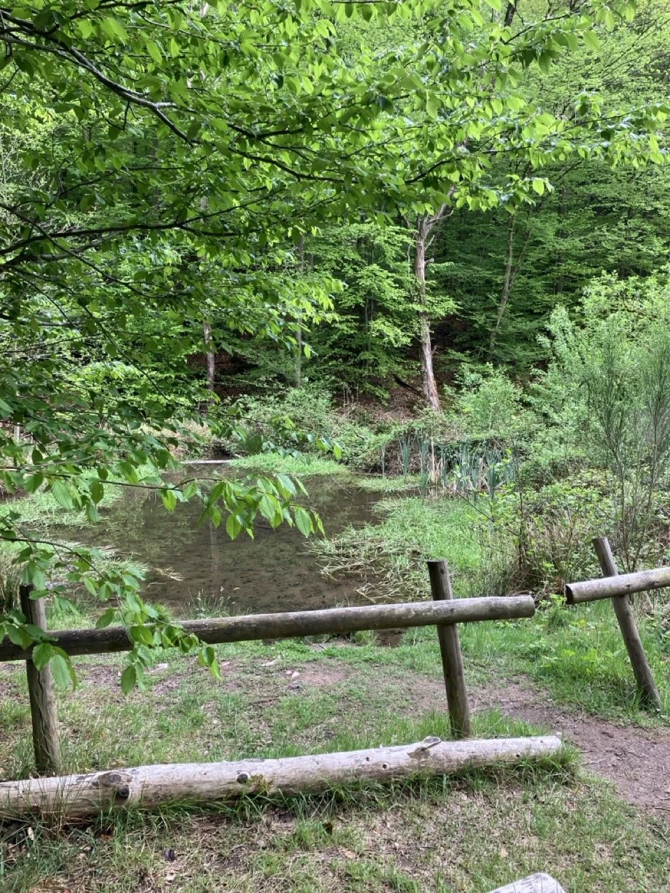 IMG_2024 - Grande.jpeg