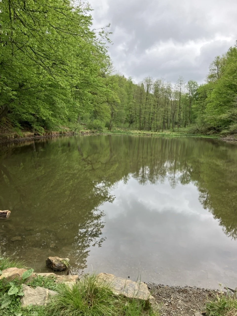 IMG_2036 (1) - Grande.jpeg