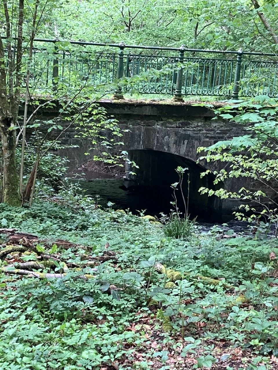 IMG_2043 - Grande.jpeg