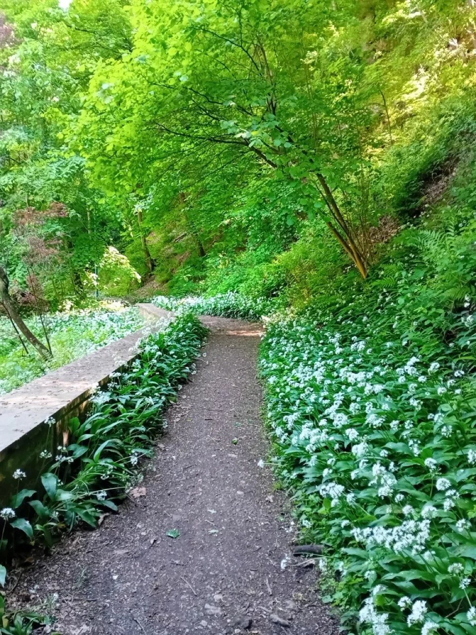 1000008114 - Grande.jpeg