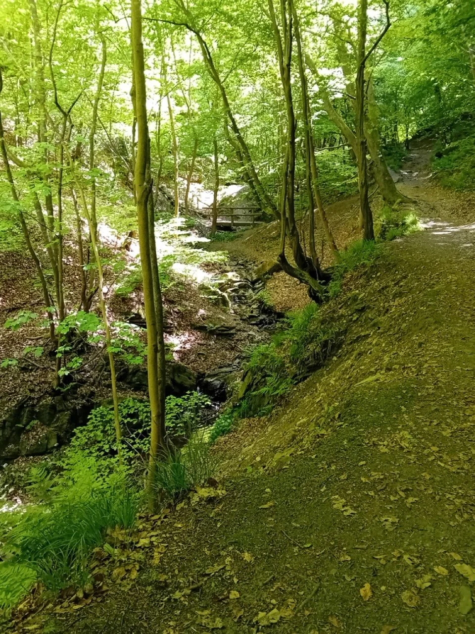 1000008134 - Grande.jpeg