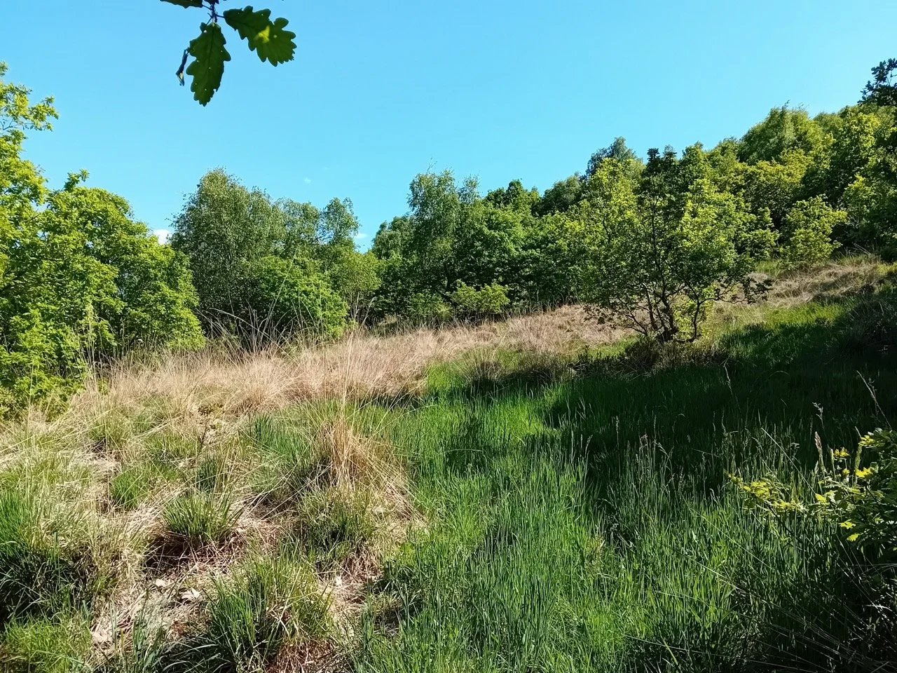 1000008139 - Grande.jpeg