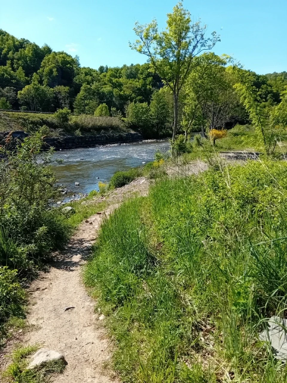 1000008149 - Grande.jpeg