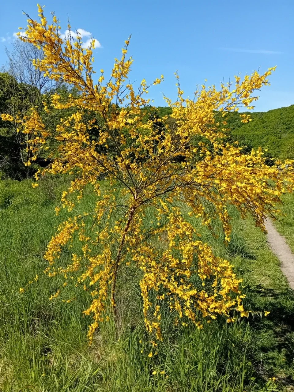 1000008150 - Grande.jpeg