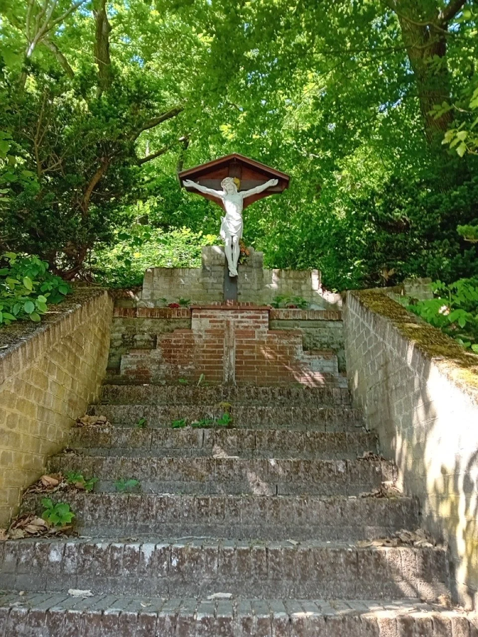 1000008154 - Grande.jpeg