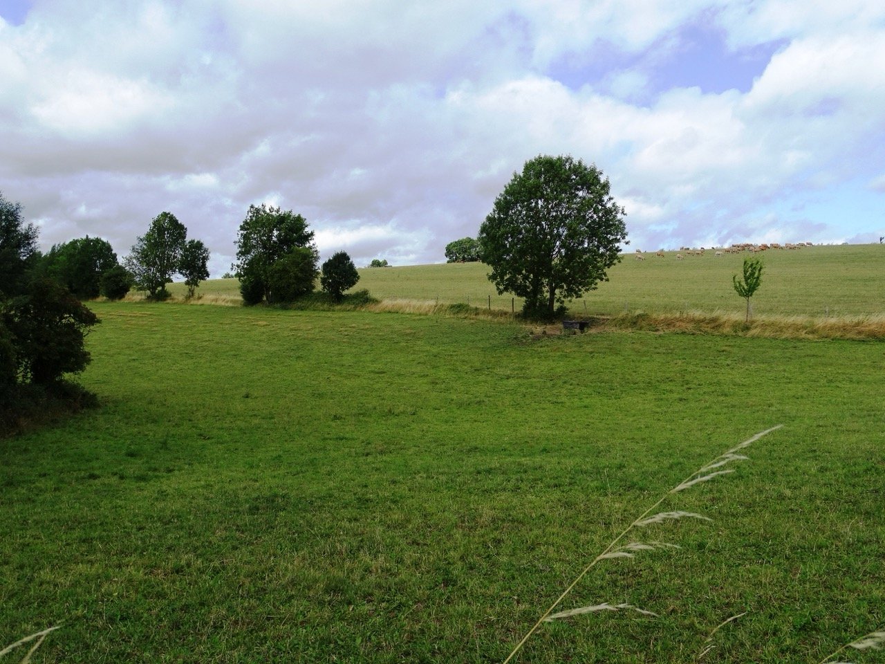 2026 05 10 TROOZ Schurgers (2) - Grande.jpeg