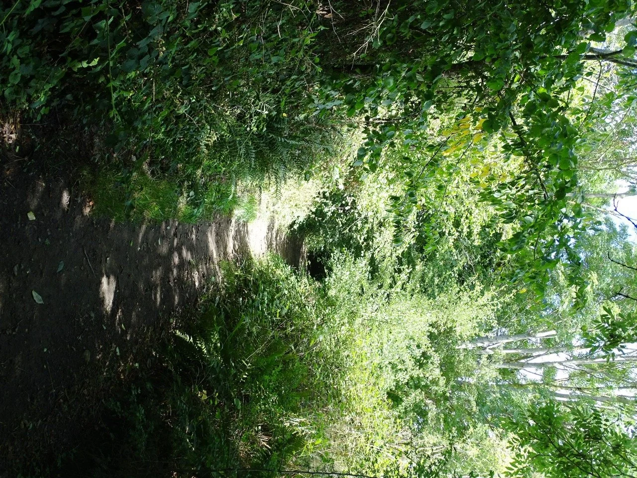 2026 05 10 TROOZ Schurgers (4) - Grande.jpeg