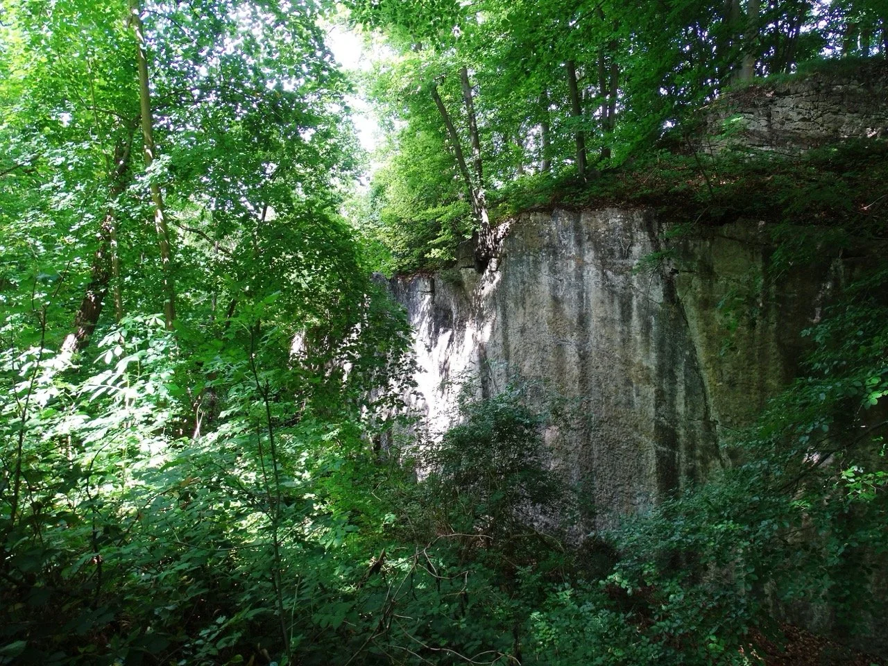 2026 05 10 TROOZ Schurgers (5) - Grande.jpeg