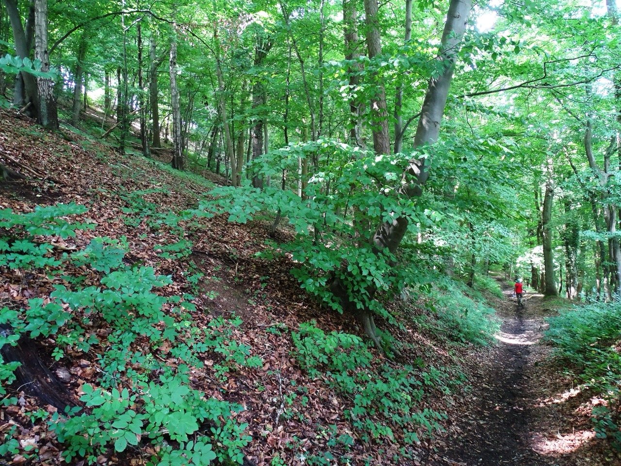 2026 05 10 TROOZ Schurgers (6) - Grande.jpeg