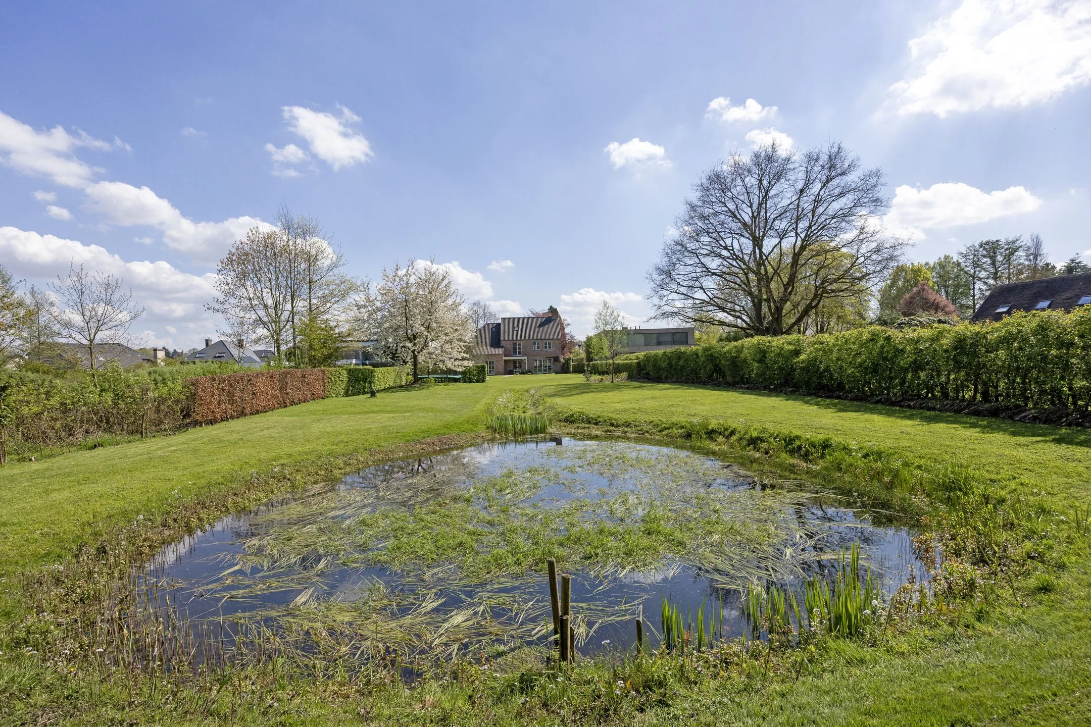 Brussegemsesteenweg411861Meise-76_web.jpg