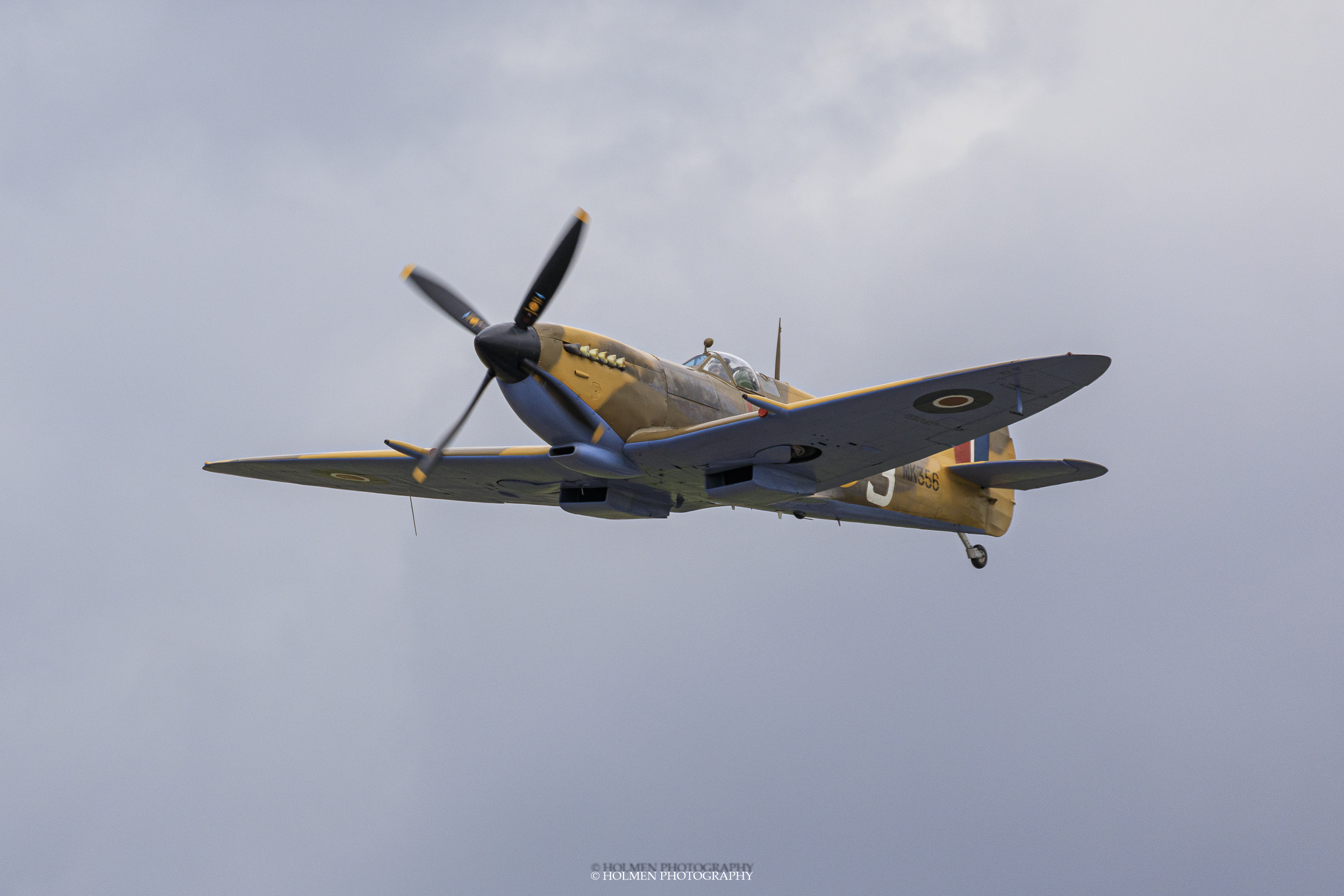 Riat2019-7772.jpg