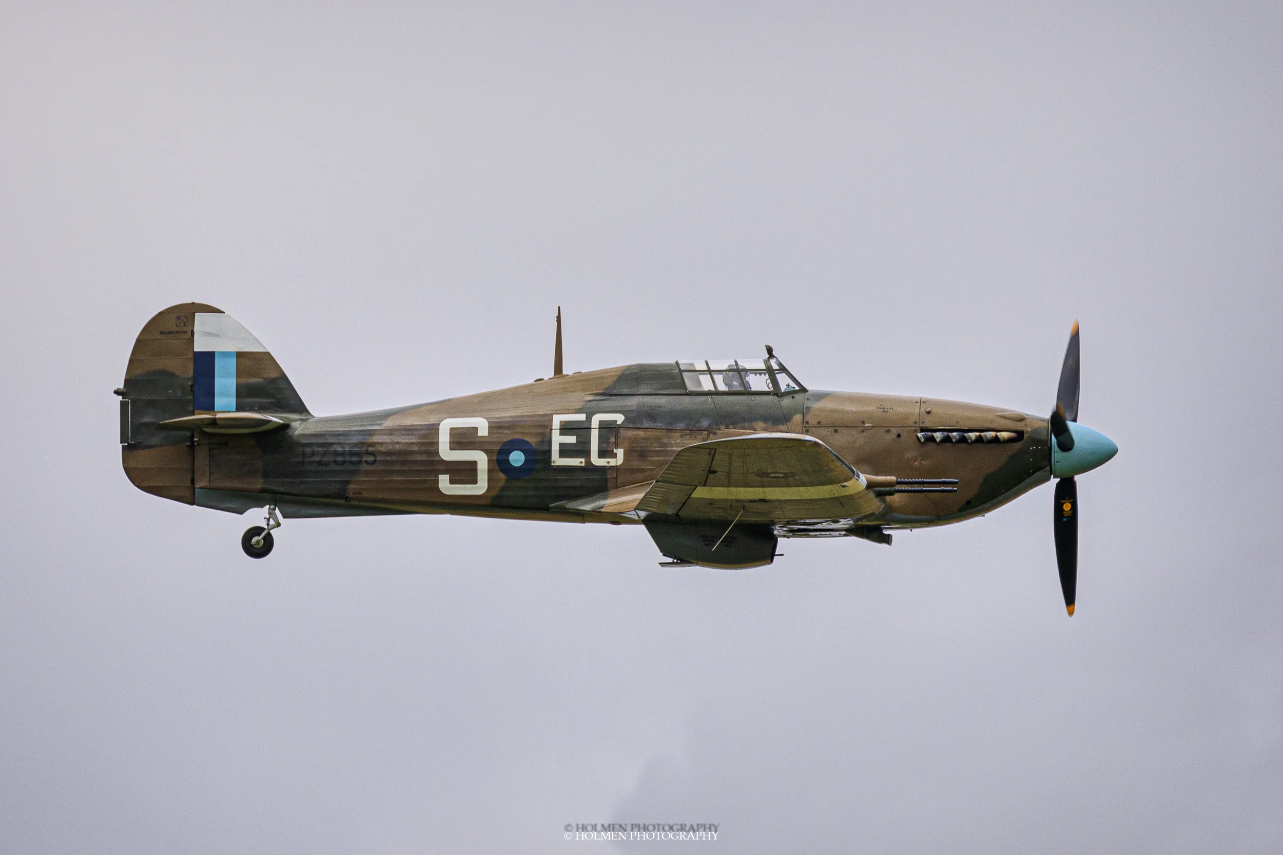 Riat2019-2-5.jpg