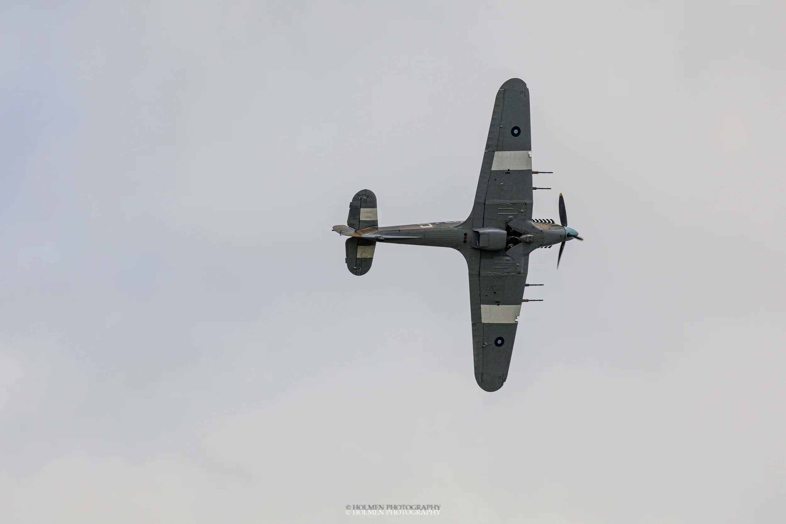 Riat2019-1096.jpg