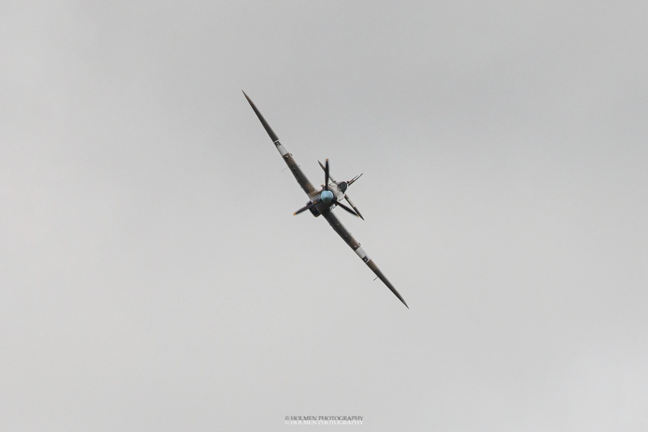 Riat2019-1166.jpg