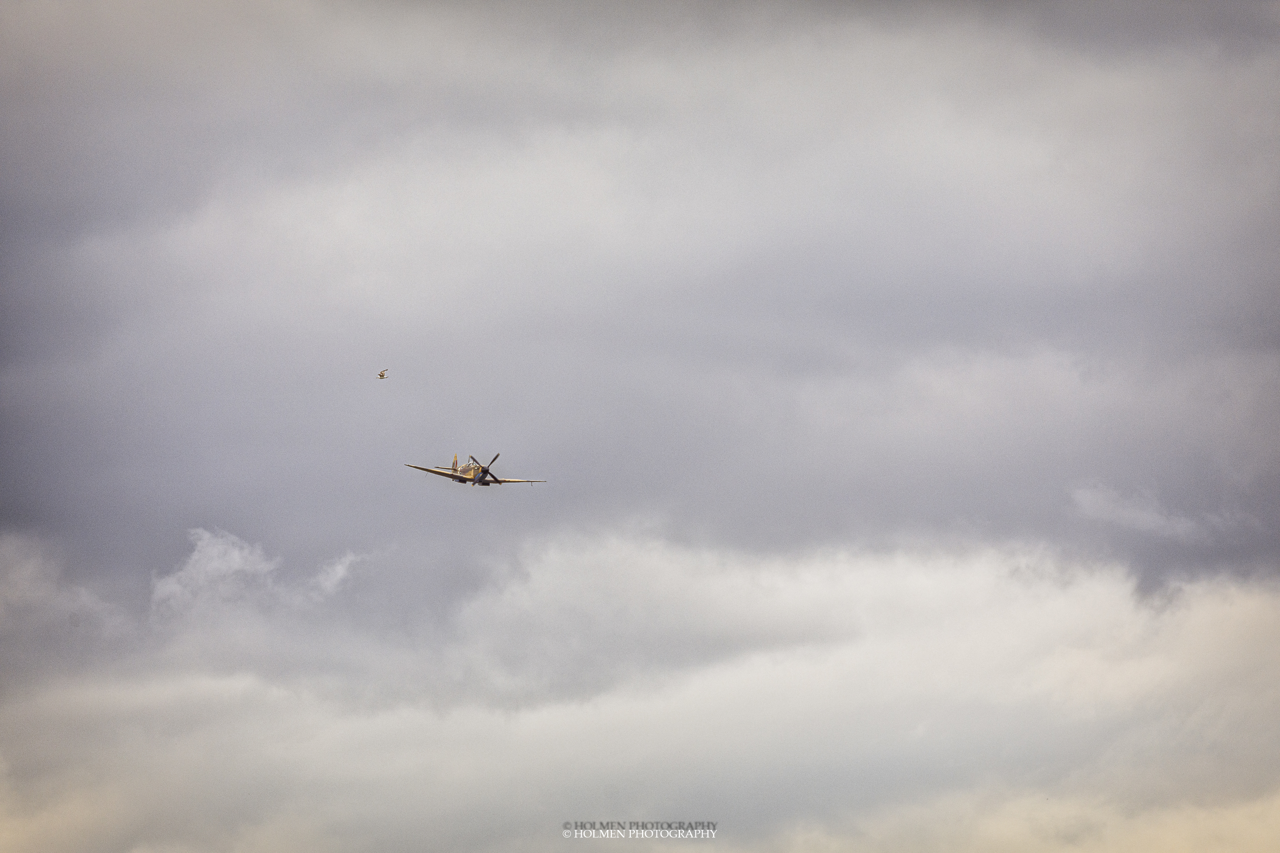 Riat2019--162.jpg