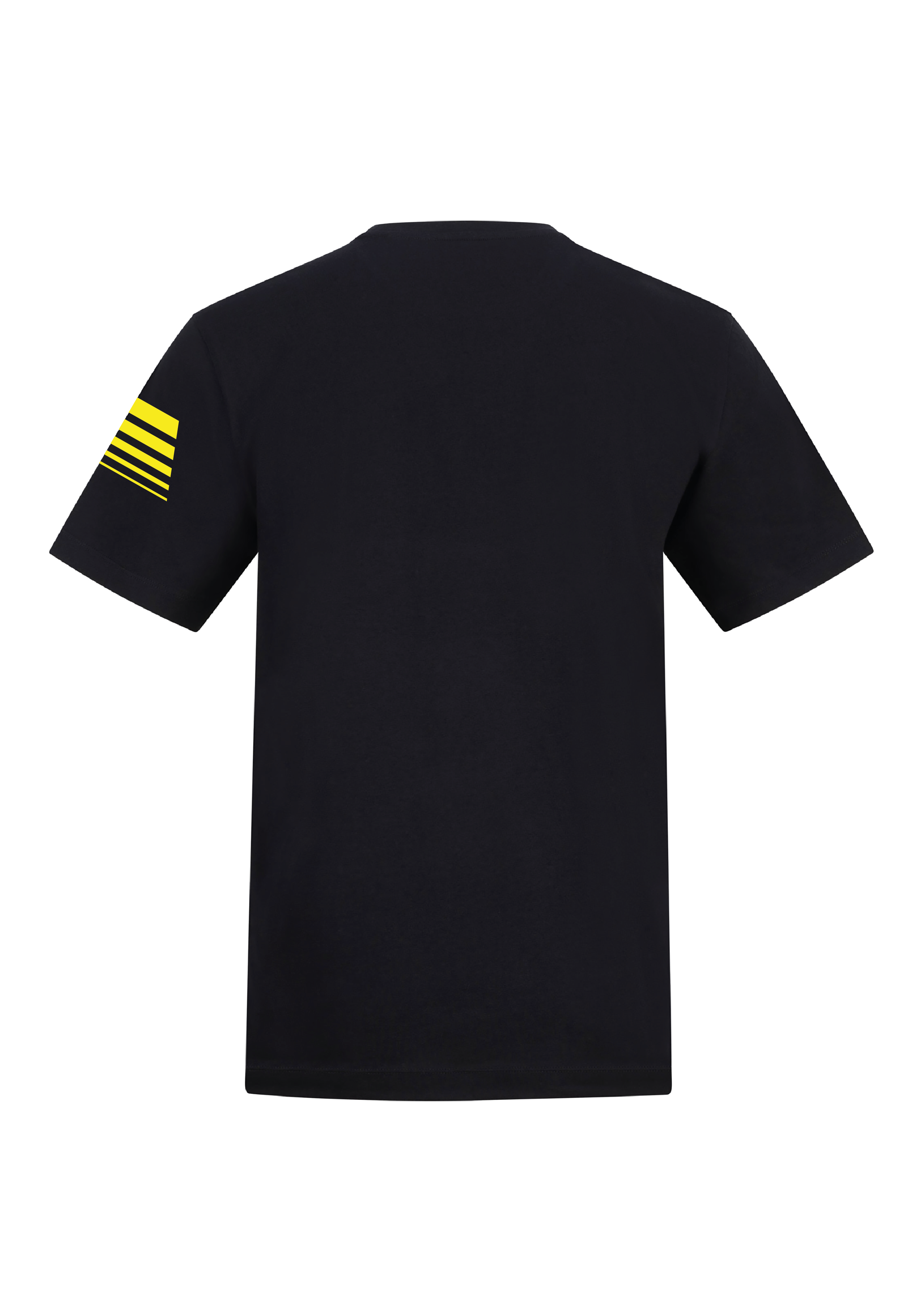 Mens Tee_Unisex AT001 - Design 2 Back-04.png