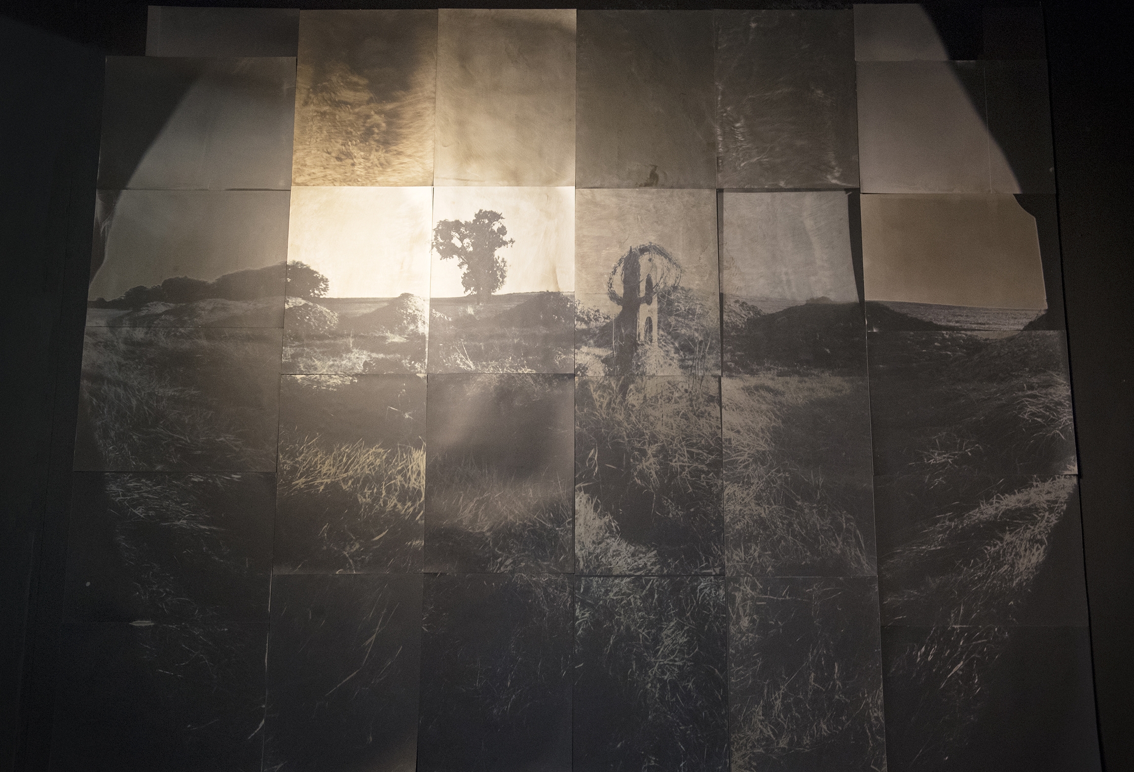 Camera Obscura Image, simultaneously captured onto 28 sheets of Medical X-ray film. Silver Gelatin Chromo contact Prints,