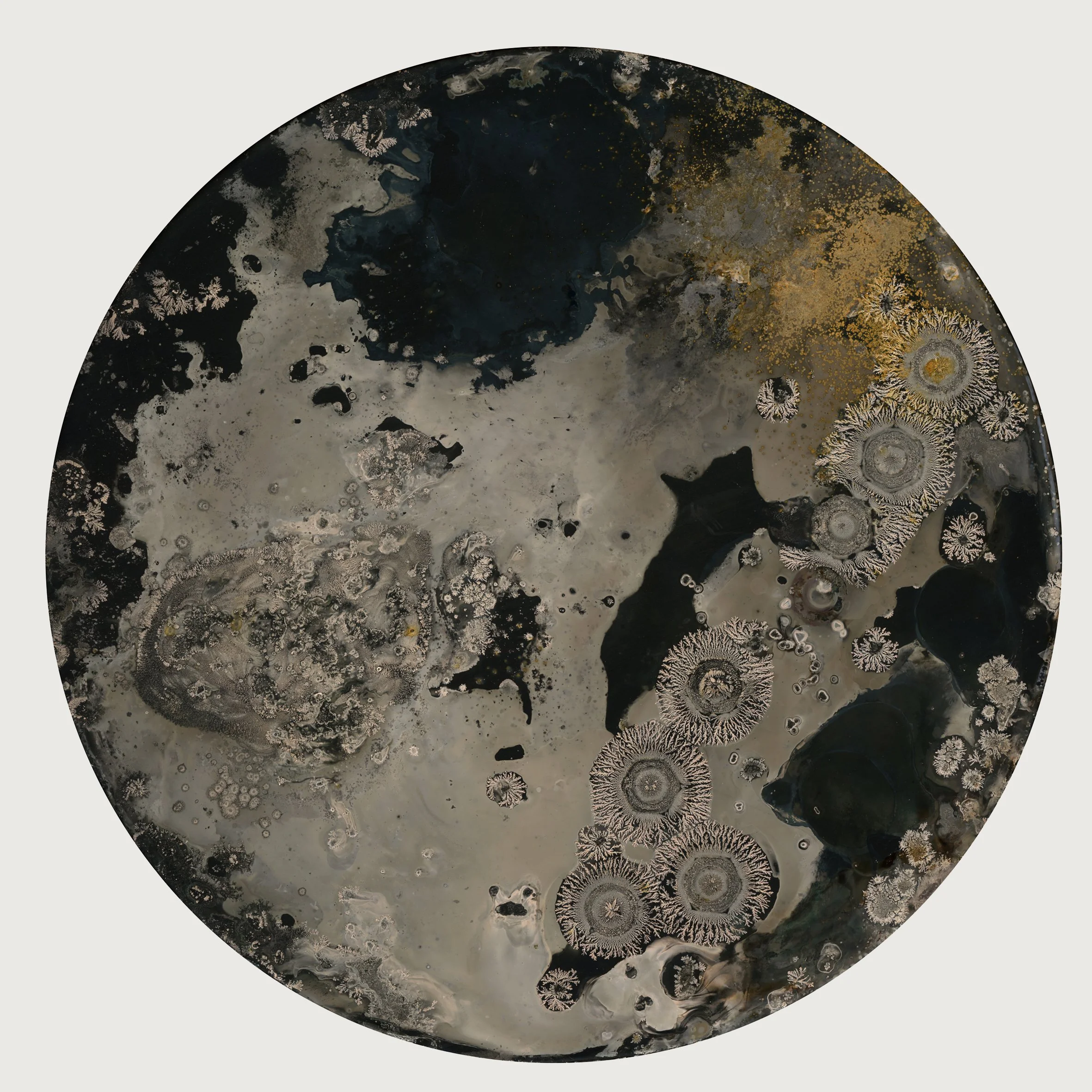 r&s027.jpg