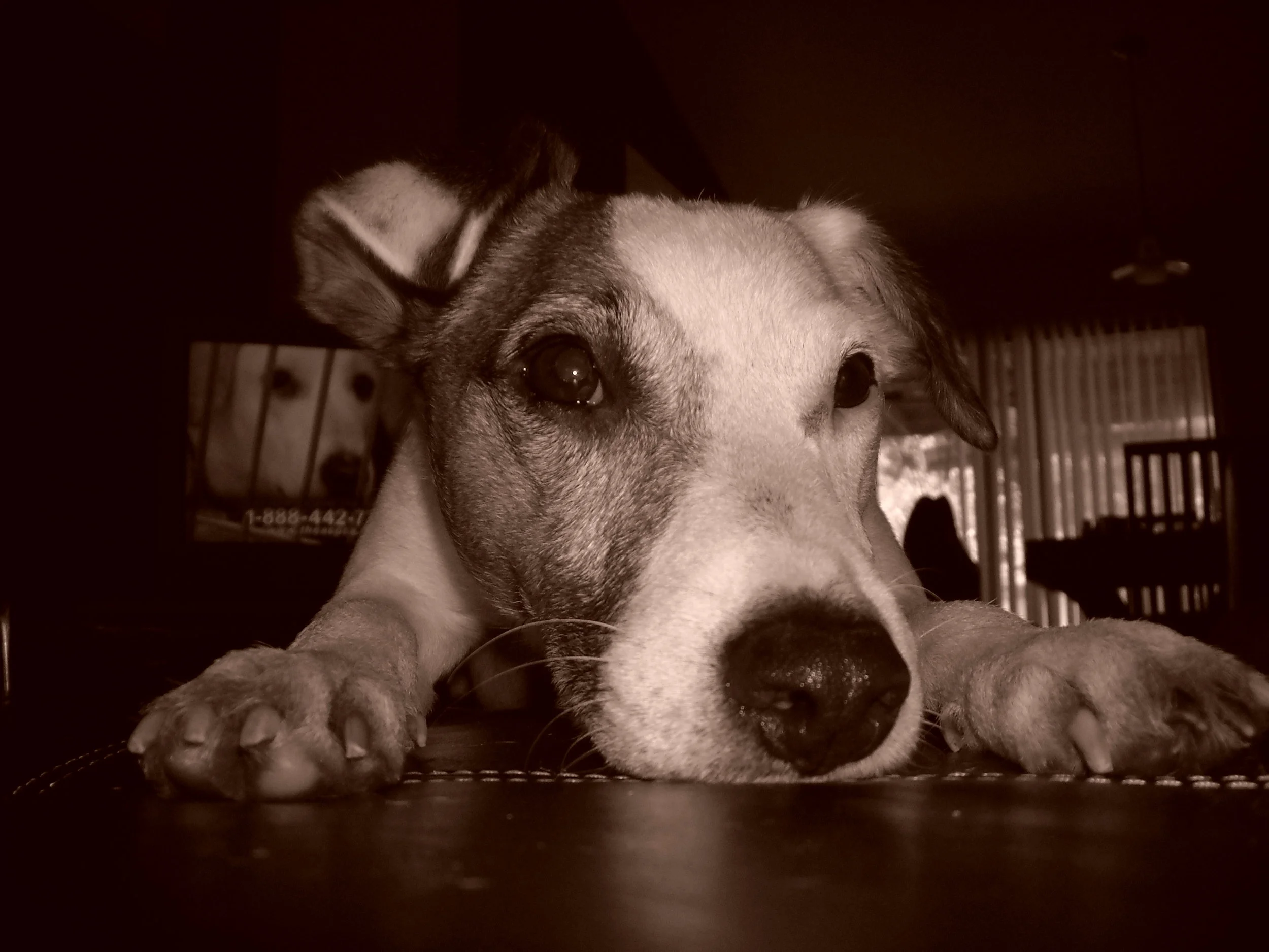 Texas nature photography by Treavor Evans