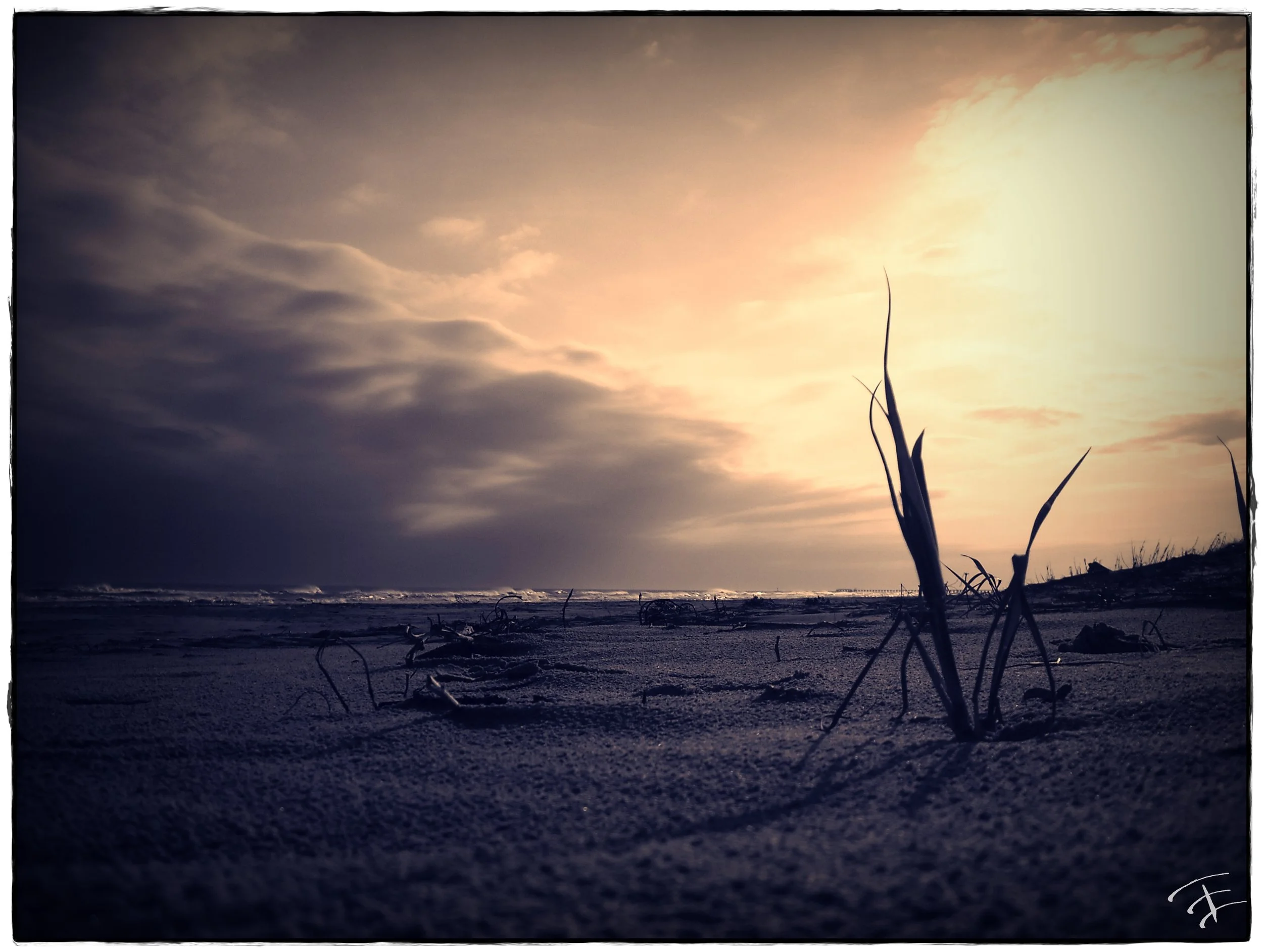 Nature photography by Treavor Evans — Texas