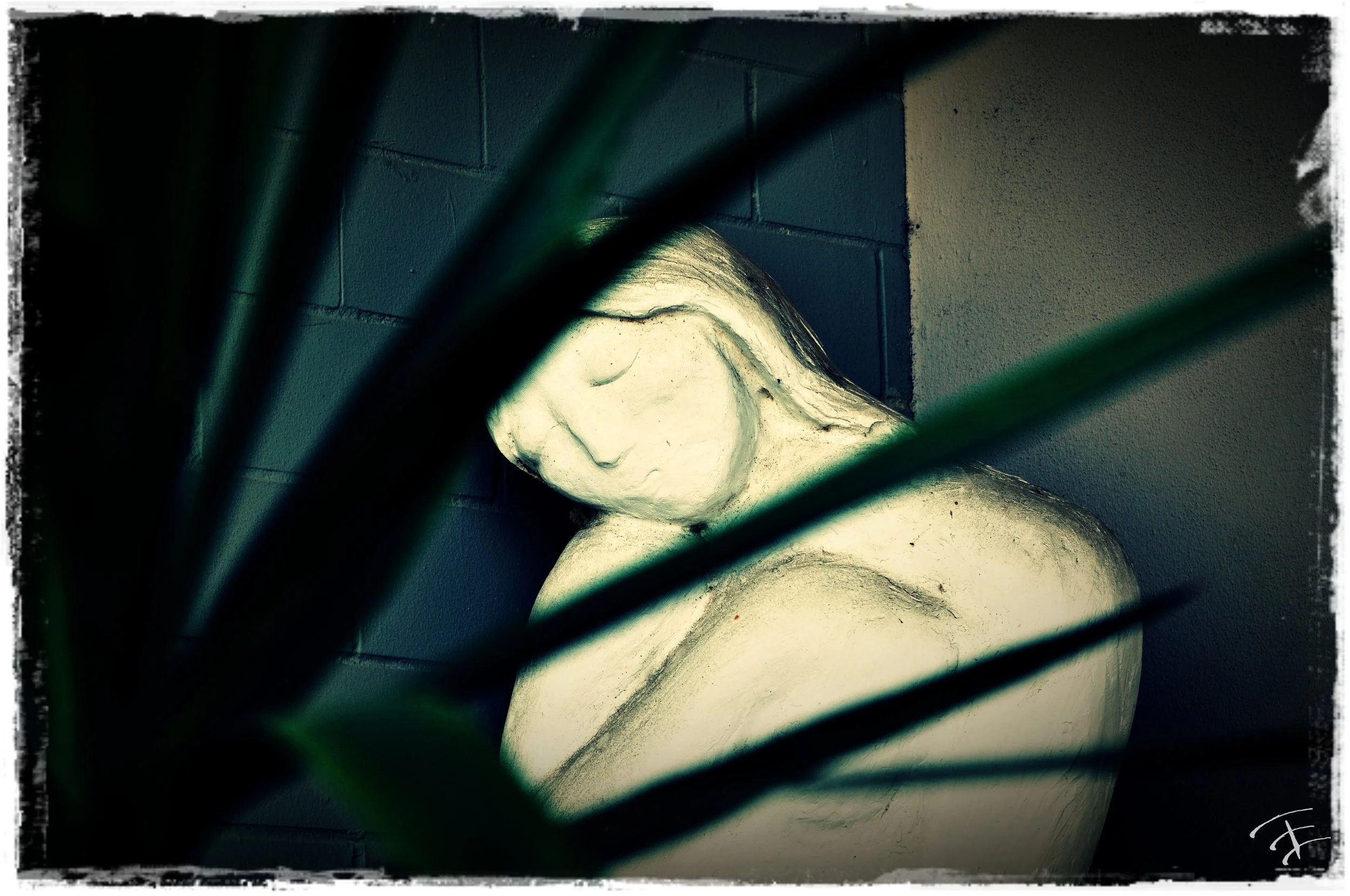 Nature photography by Treavor Evans — Texas artist