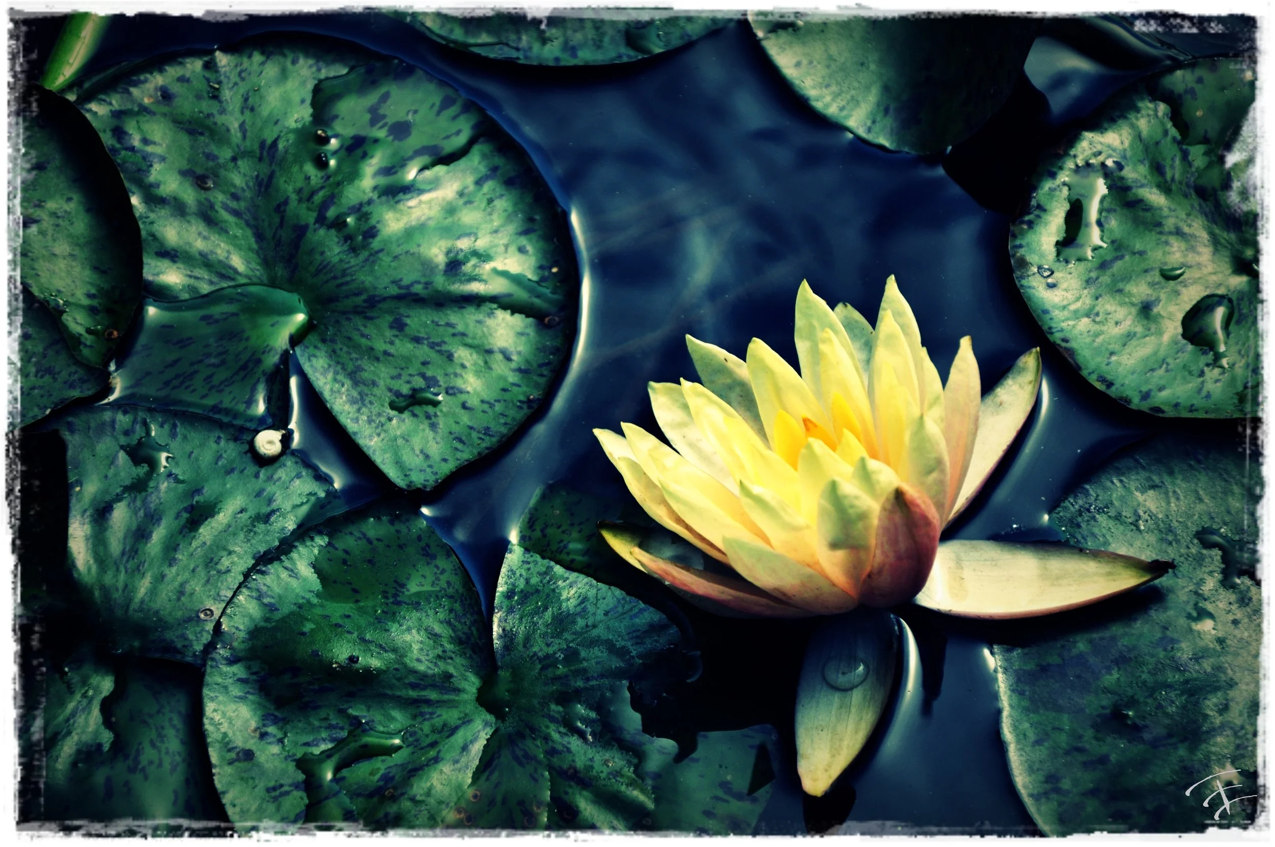 Texas landscape photography by Treavor Evans